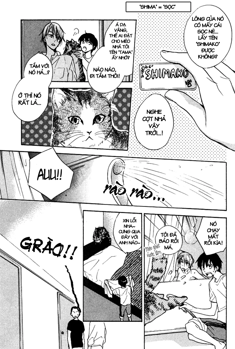 HentaiVN.net - Ảnh 6 - Rutta to Kodama [Rutta and Kodama] - Chap 11
