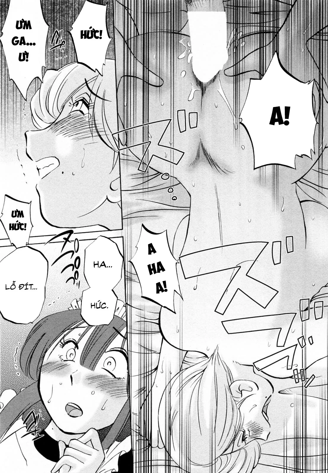HentaiVN.net - Ảnh 20 - Maid no Mitsukosan Vol.2 [家政婦のミツコさん 2] - Chap 2