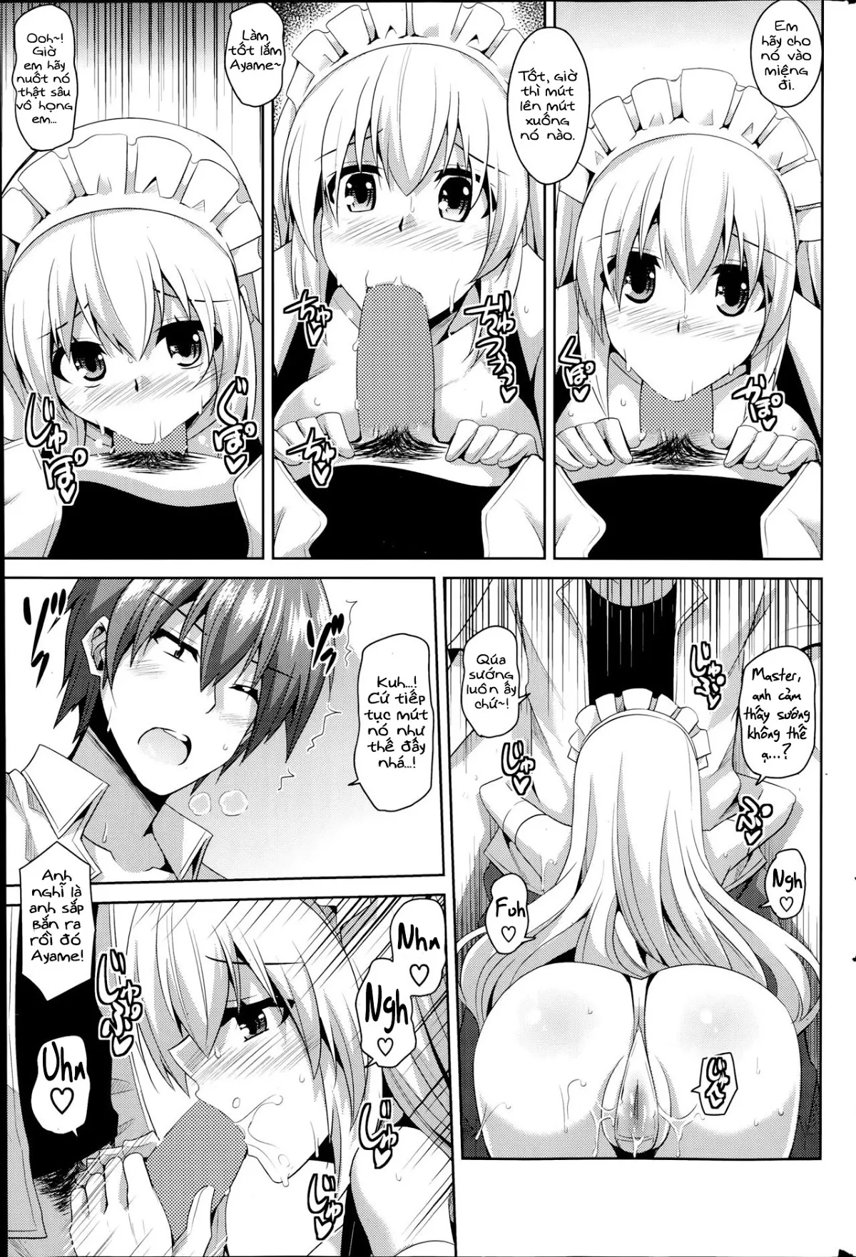 HentaiVN.net - Ảnh 25 - Cô hầu gái đặc biệt [Gohoushi Otome] - Chap 1