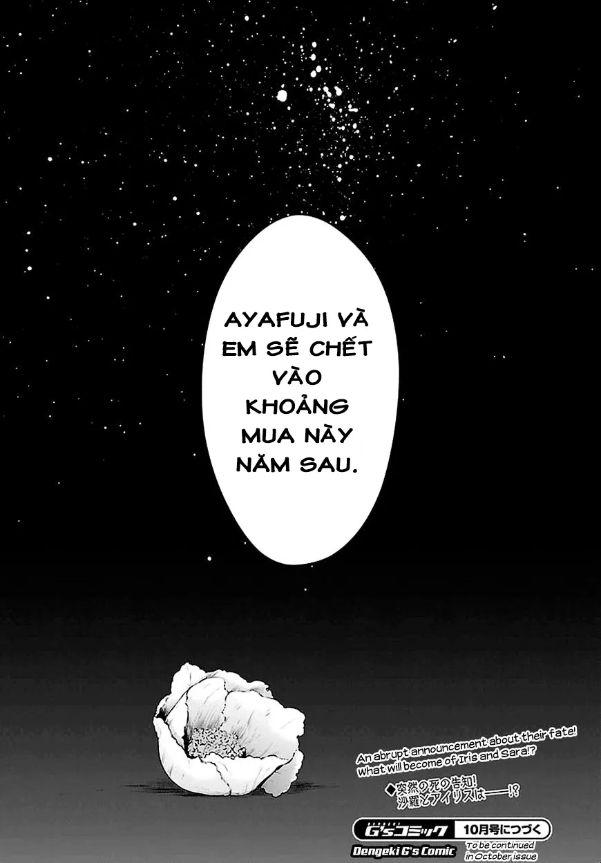 HentaiVN.net - Ảnh 25 - Kyuuketsuki-chan to Kouhai-chan - Chap 7