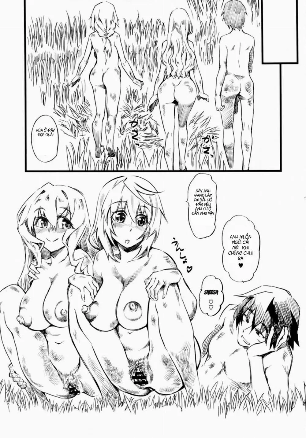 HentaiVN.net - Ảnh 22 - N (Infinite Stratos) - Chap 1
