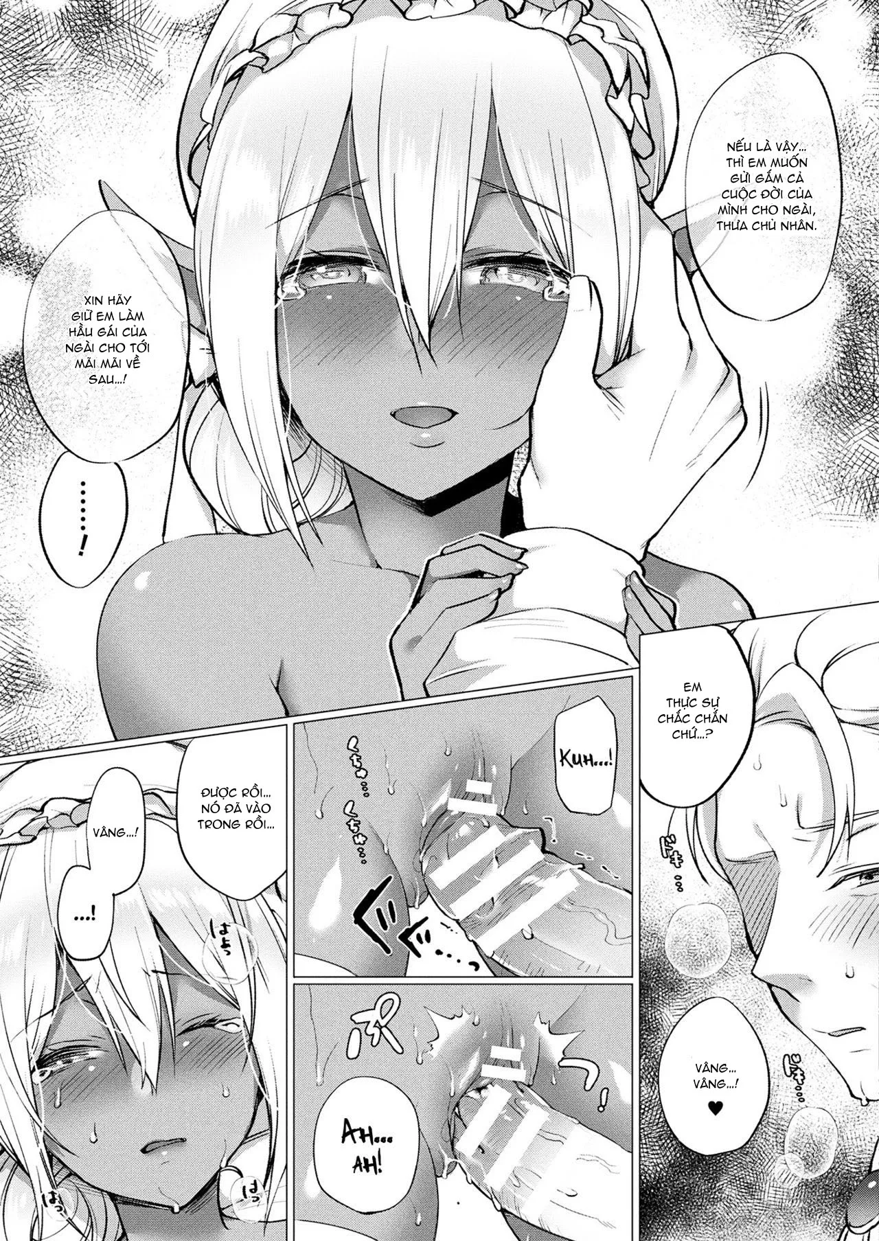 HentaiVN.net - Ảnh 14 - Chuyện tình của nàng Dark Elf [Dark Elf no Koi Monogatari] - Chap 1