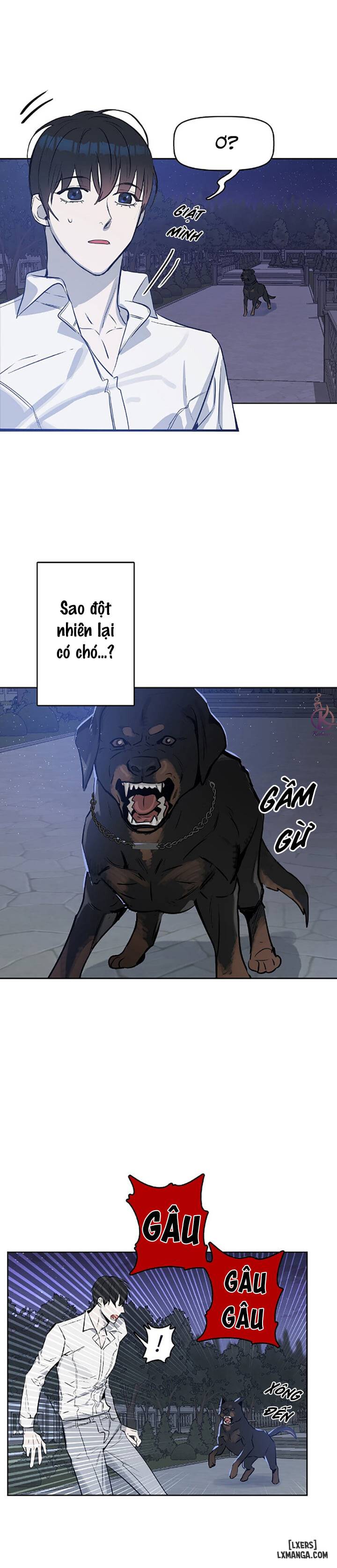 HentaiVN.net - Ảnh 17 - Hôn tôi đi, kẻ dối trá - Chap 3