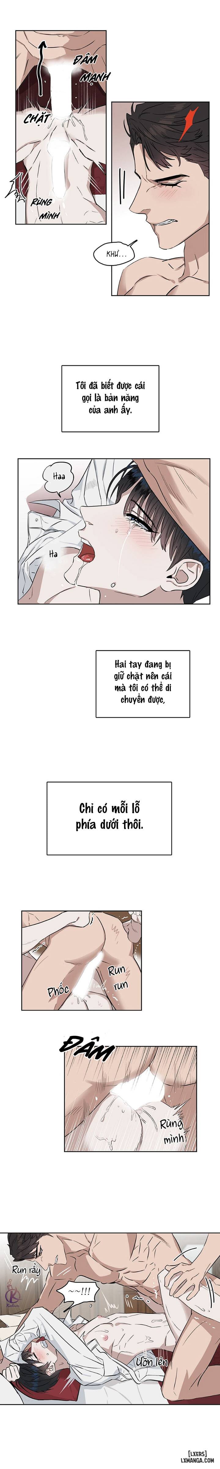 HentaiVN.net - Ảnh 6 - Hôn tôi đi, kẻ dối trá - Chap 13