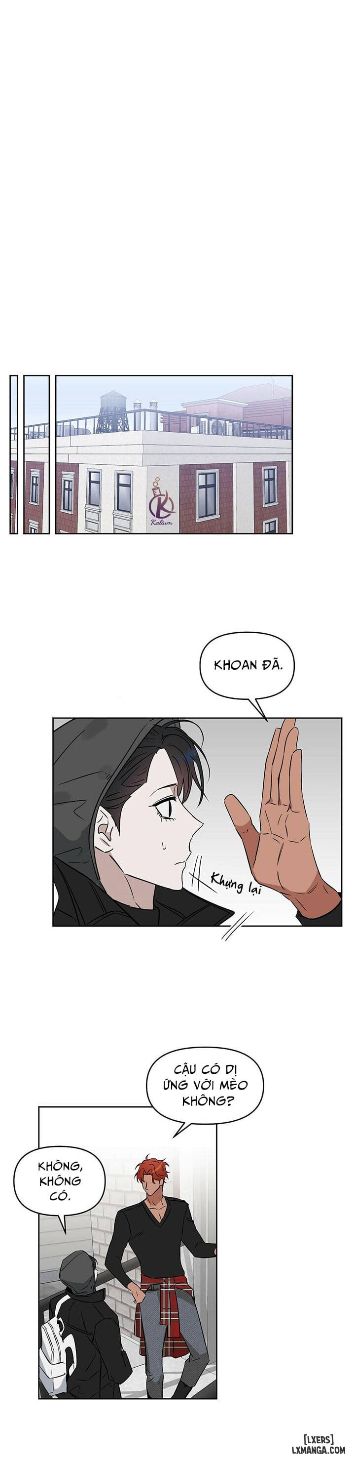 HentaiVN.net - Ảnh 21 - Hôn tôi đi, kẻ dối trá - Chap 31