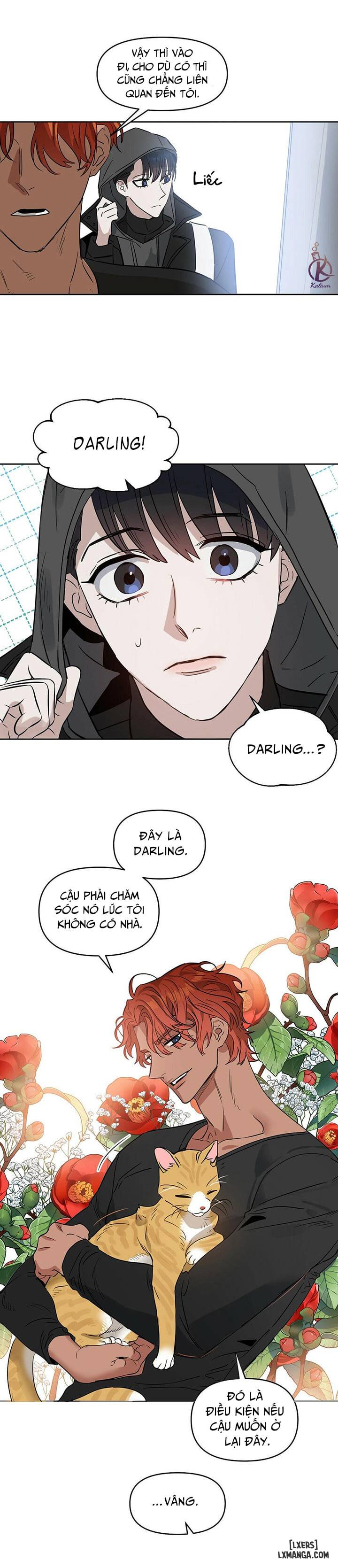 HentaiVN.net - Ảnh 22 - Hôn tôi đi, kẻ dối trá - Chap 31