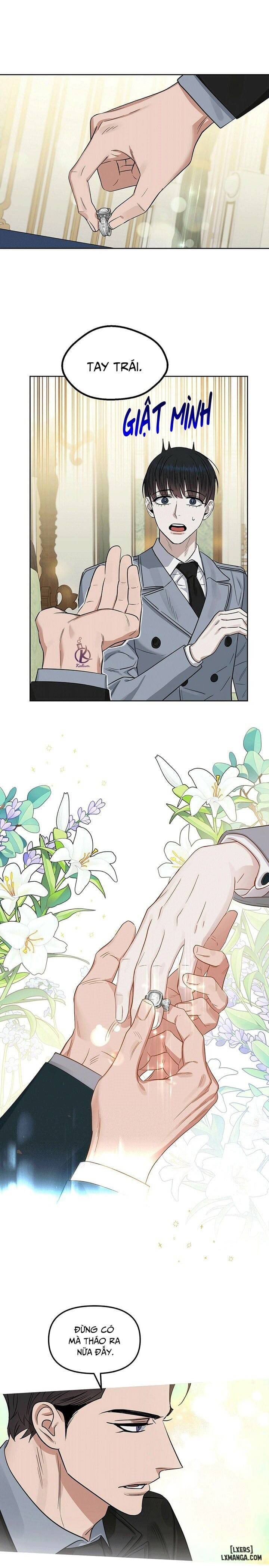 HentaiVN.net - Ảnh 9 - Hôn tôi đi, kẻ dối trá - Chap 65