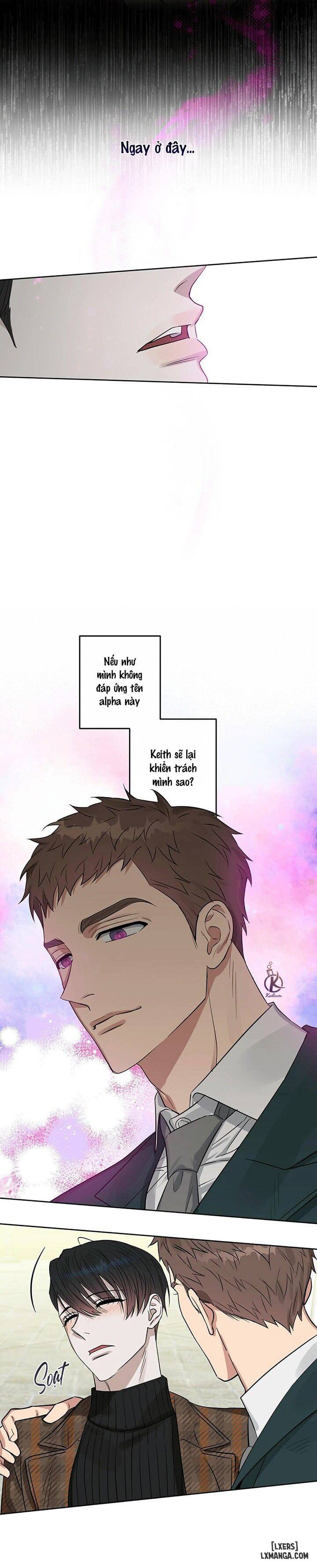 HentaiVN.net - Ảnh 14 - Hôn tôi đi, kẻ dối trá - Chap 67