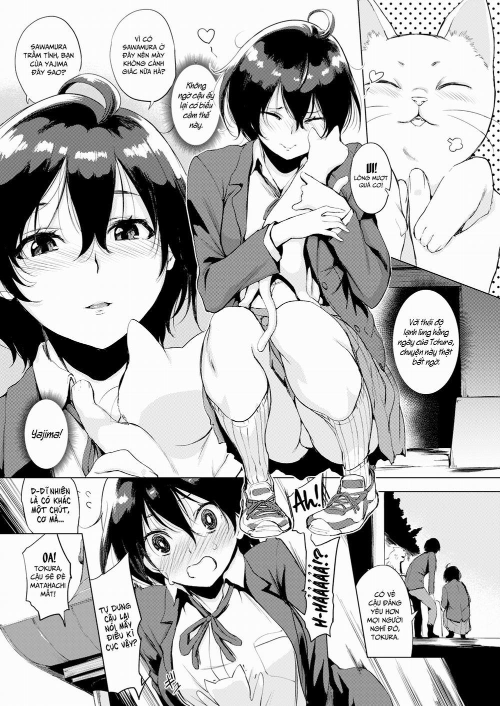 HentaiVN.net - Ảnh 5 - Tokura-san Yêu Mèo! [戸倉さんはオ苗が女子き; Tokura-san wa o nae ga joshiki; Tokura-san Loves Cat!] - Chap 1
