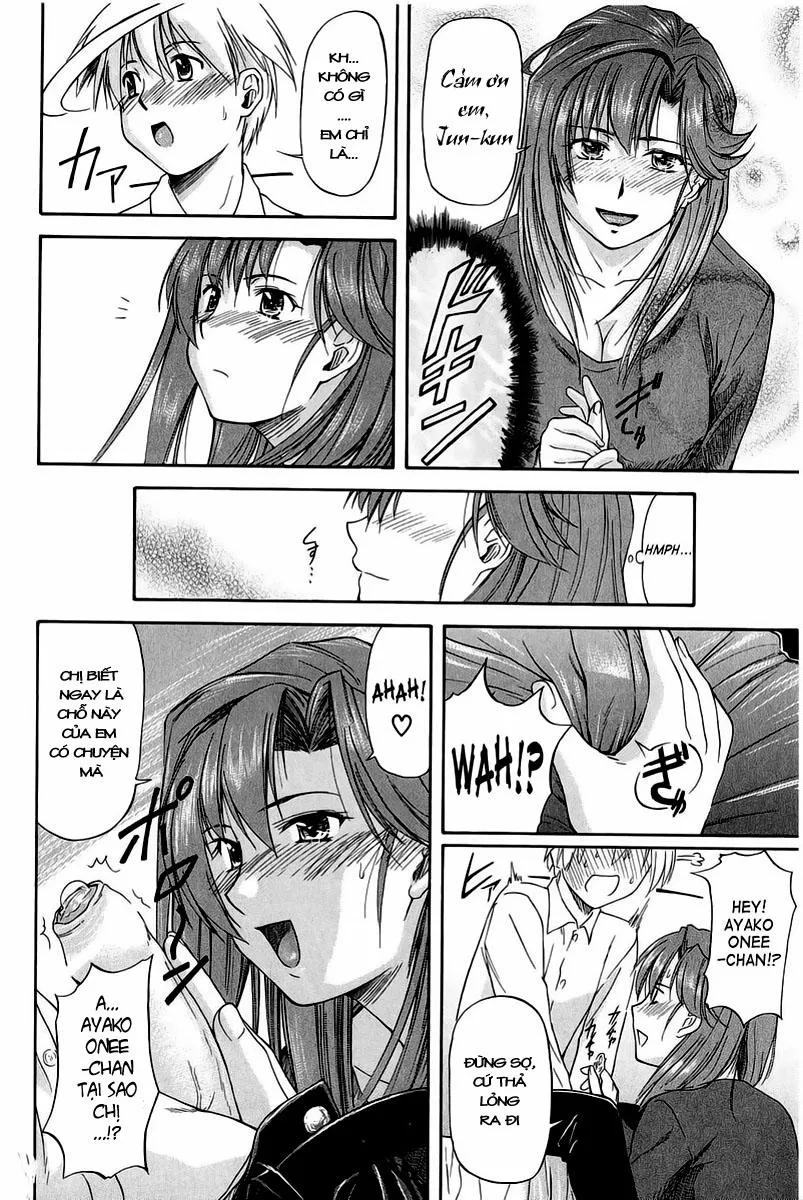 HentaiVN.net - Ảnh 14 - Big Sister - Little Brother Squared - Chap 1