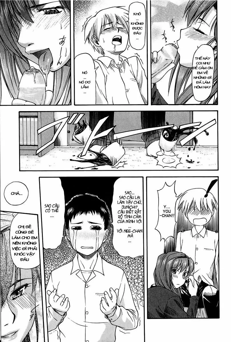HentaiVN.net - Ảnh 15 - Big Sister - Little Brother Squared - Chap 1