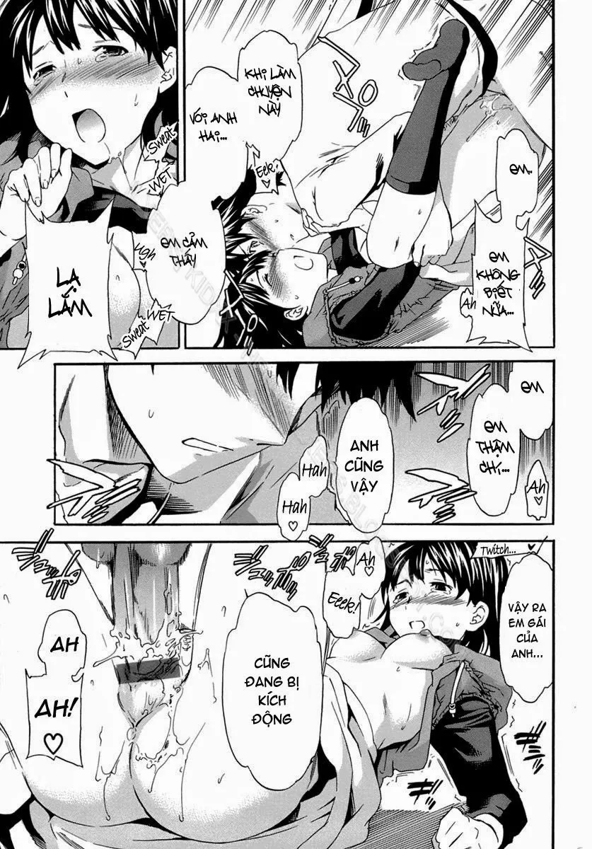 HentaiVN.net - Ảnh 13 - So Lovely - Chap 2