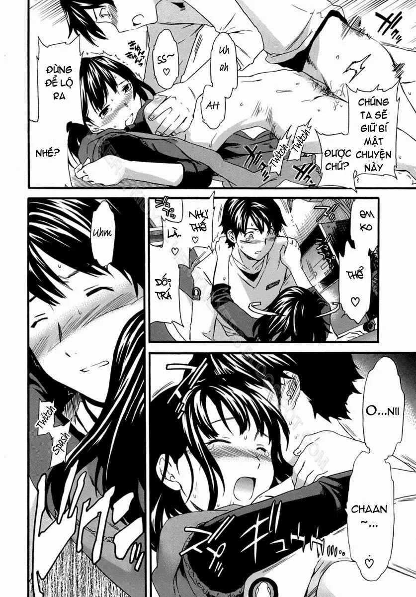 HentaiVN.net - Ảnh 14 - So Lovely - Chap 2