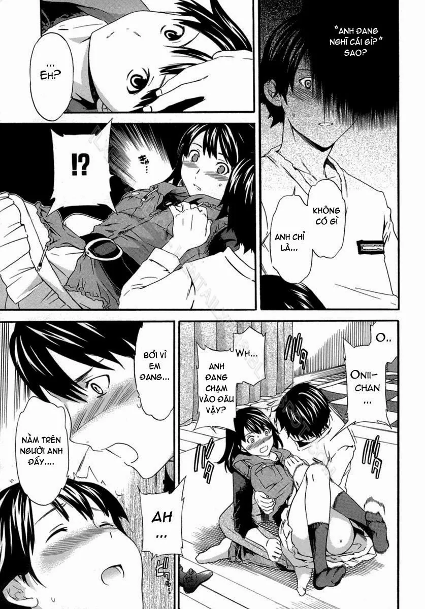 HentaiVN.net - Ảnh 5 - So Lovely - Chap 2