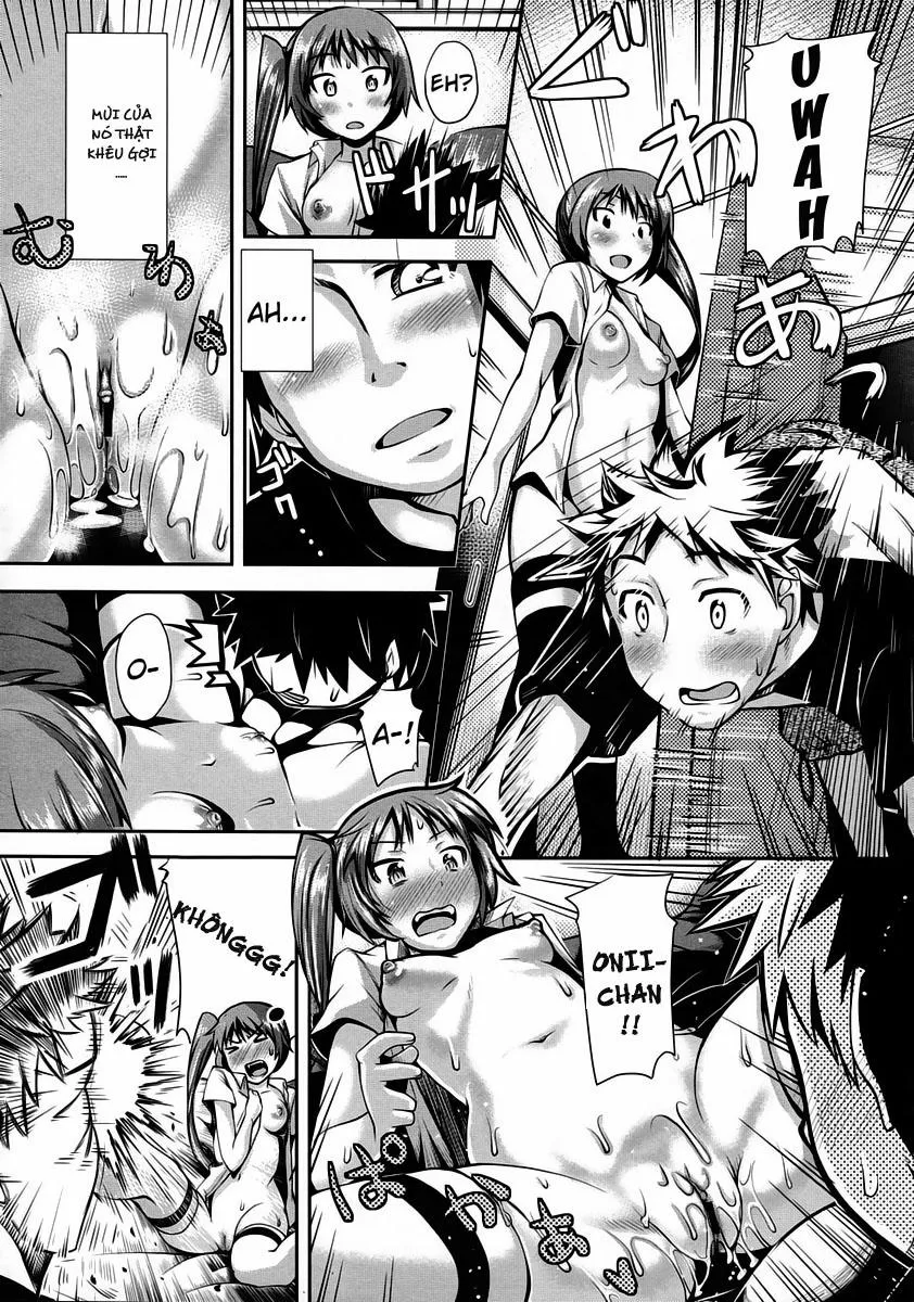 HentaiVN.net - Ảnh 9 - Twin Sisters Blossom - Chap 1