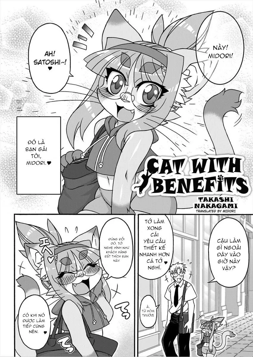 HentaiVN.net - Ảnh 4 - Midori's Neko Kano [Cat With Benefit] - Chap 1