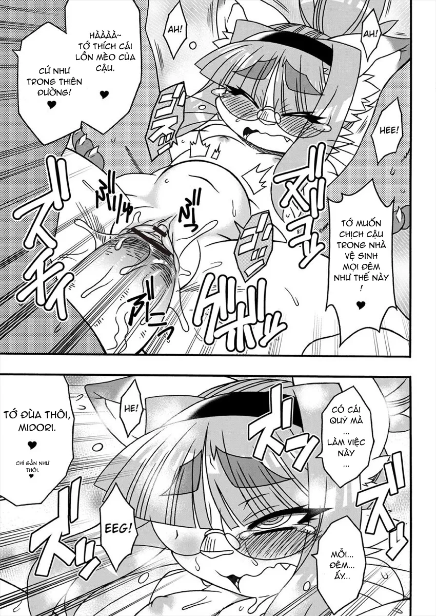 HentaiVN.net - Ảnh 13 - Midori's Neko Kano [Cat With Benefit] - Chap 2