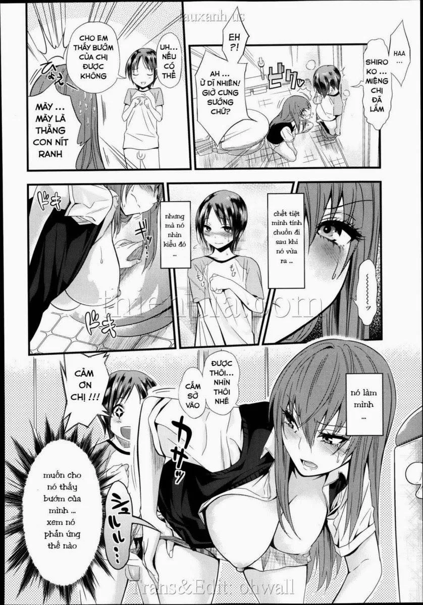 HentaiVN.net - Ảnh 8 - Little Magnum - Chap 1