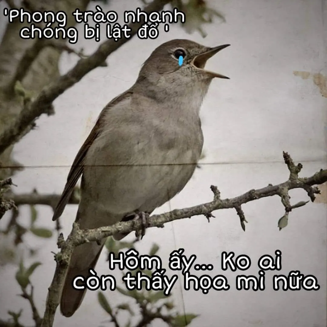 HentaiVN.net - Ảnh 21 - Anh là thú cưng của em [My darling is my pet] - Chap 1