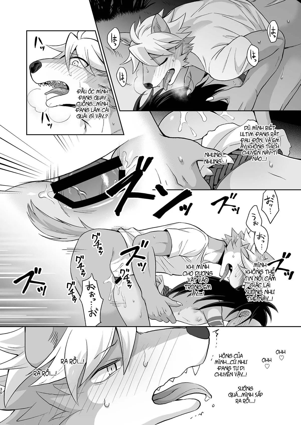 HentaiVN.net - Ảnh 30 - Sự ghép đôi giữa người và sói [Hito no tsugai, kemono no tsugai] - Chap 1