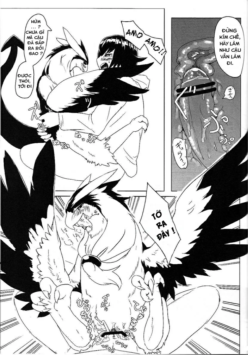 HentaiVN.net - Ảnh 5 - Sự tích về nàng ... quỷ điểu ... và người triệu hồi nàng [Tori no Akuma to Shoukansi] - Chap 1
