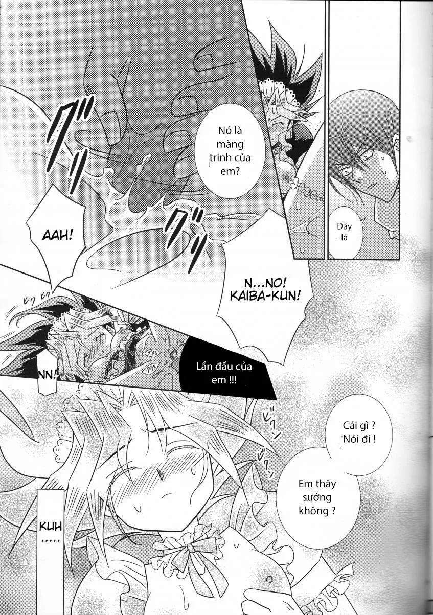HentaiVN.net - Ảnh 18 - Metamorphose (Yu-Gi-Oh) - Chap 1