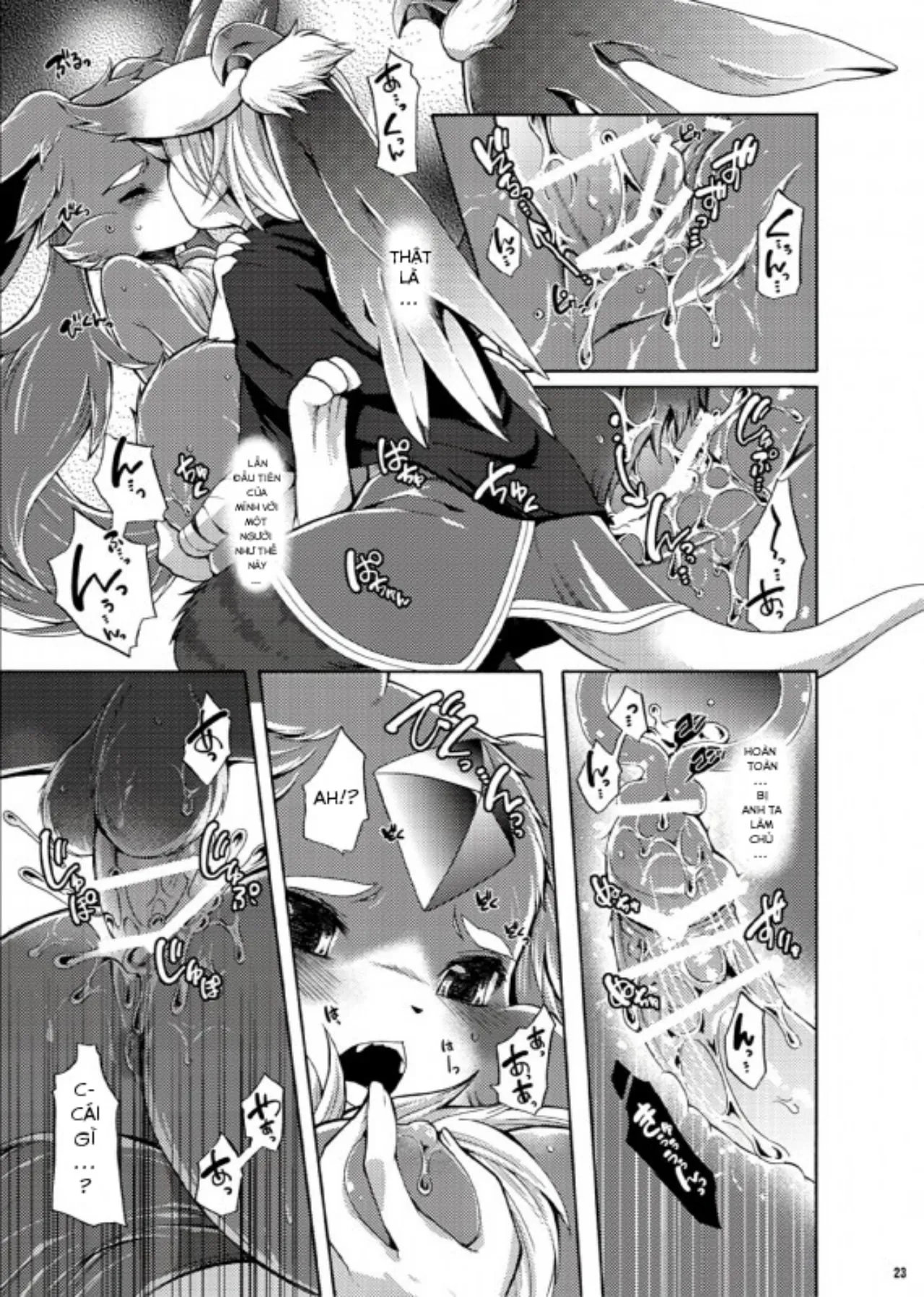 HentaiVN.net - Ảnh 21 - Houseki Kemono to Yuuraku Ma (Puzzle & Dragons) [The Gem Beast and the Playful Demon] - Chap 1