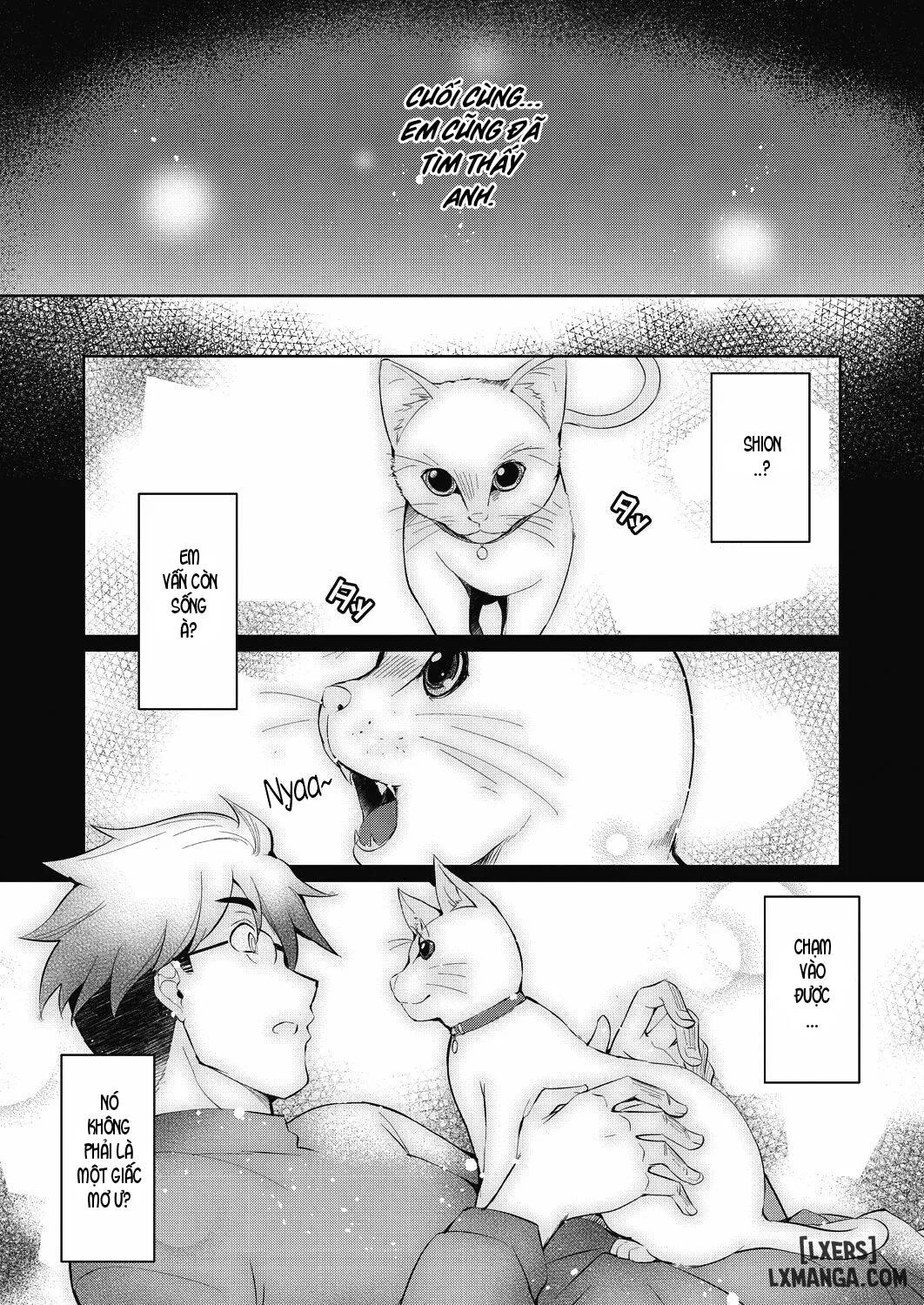 HentaiVN.net - Ảnh 10 - Shion no Hana [Flowers for Shion; 紫苑の花] - Chap 1