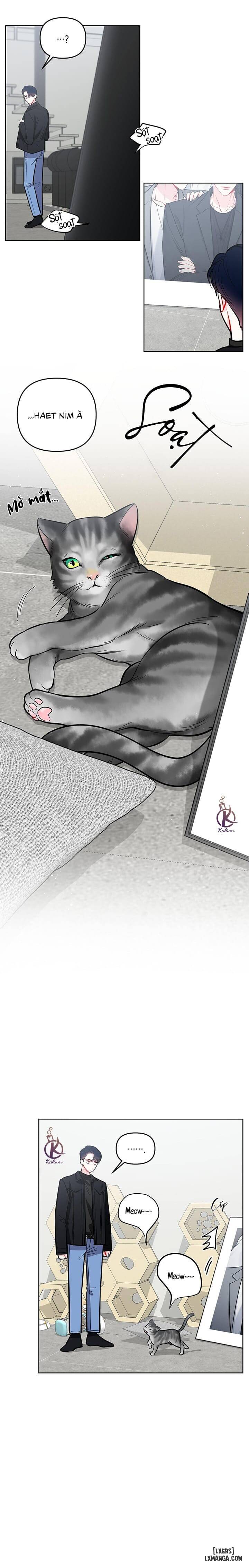 HentaiVN.net - Ảnh 12 - Quỹ đạo của vì sao - Chap 52