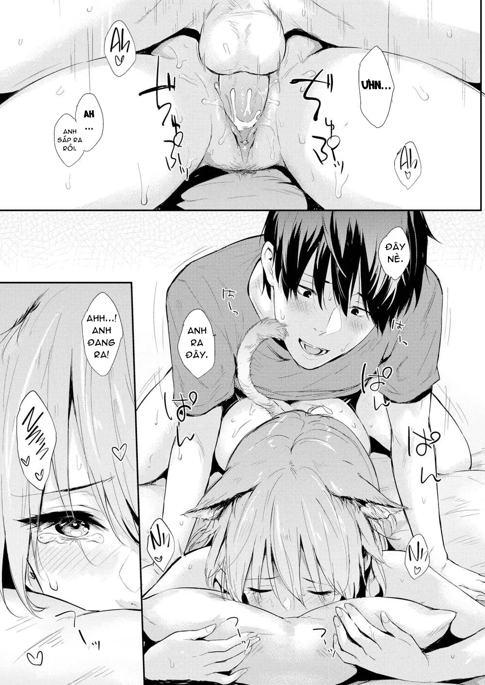 HentaiVN.net - Ảnh 6 - Bé Mèo Và Tôi! [Cat & I] - Chap 1