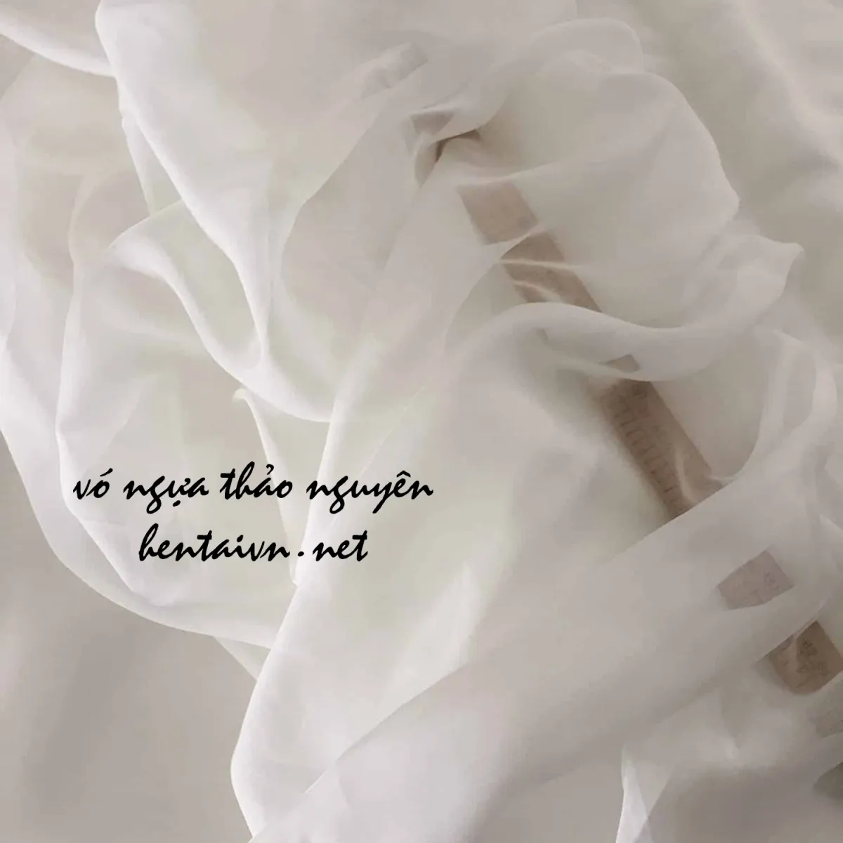 HentaiVN.net - Ảnh 11 - Người thủ thư dâm đãng [The librarian] - Chap 1