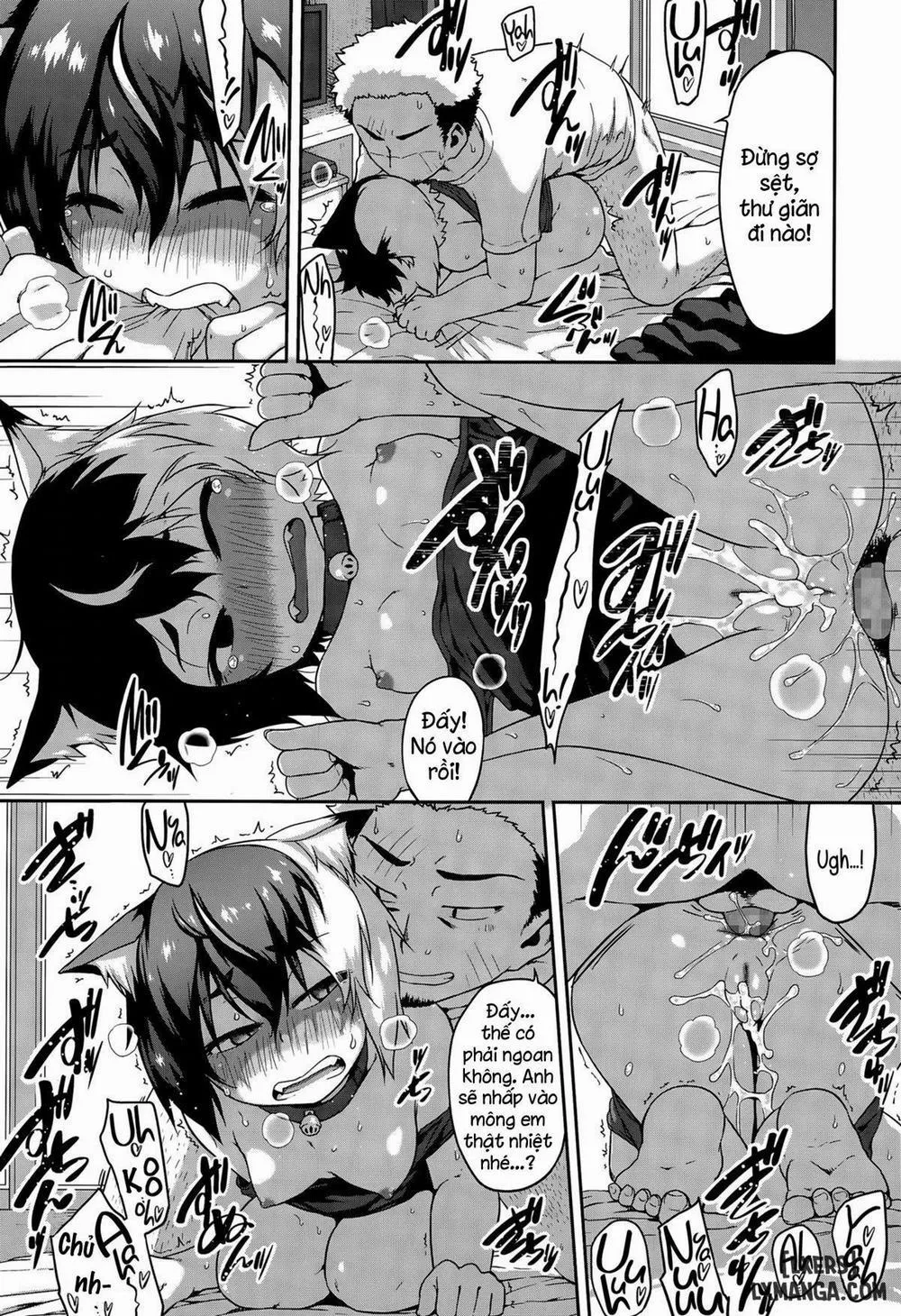 HentaiVN.net - Ảnh 17 - What's Tsun Pussycat - Chap 1