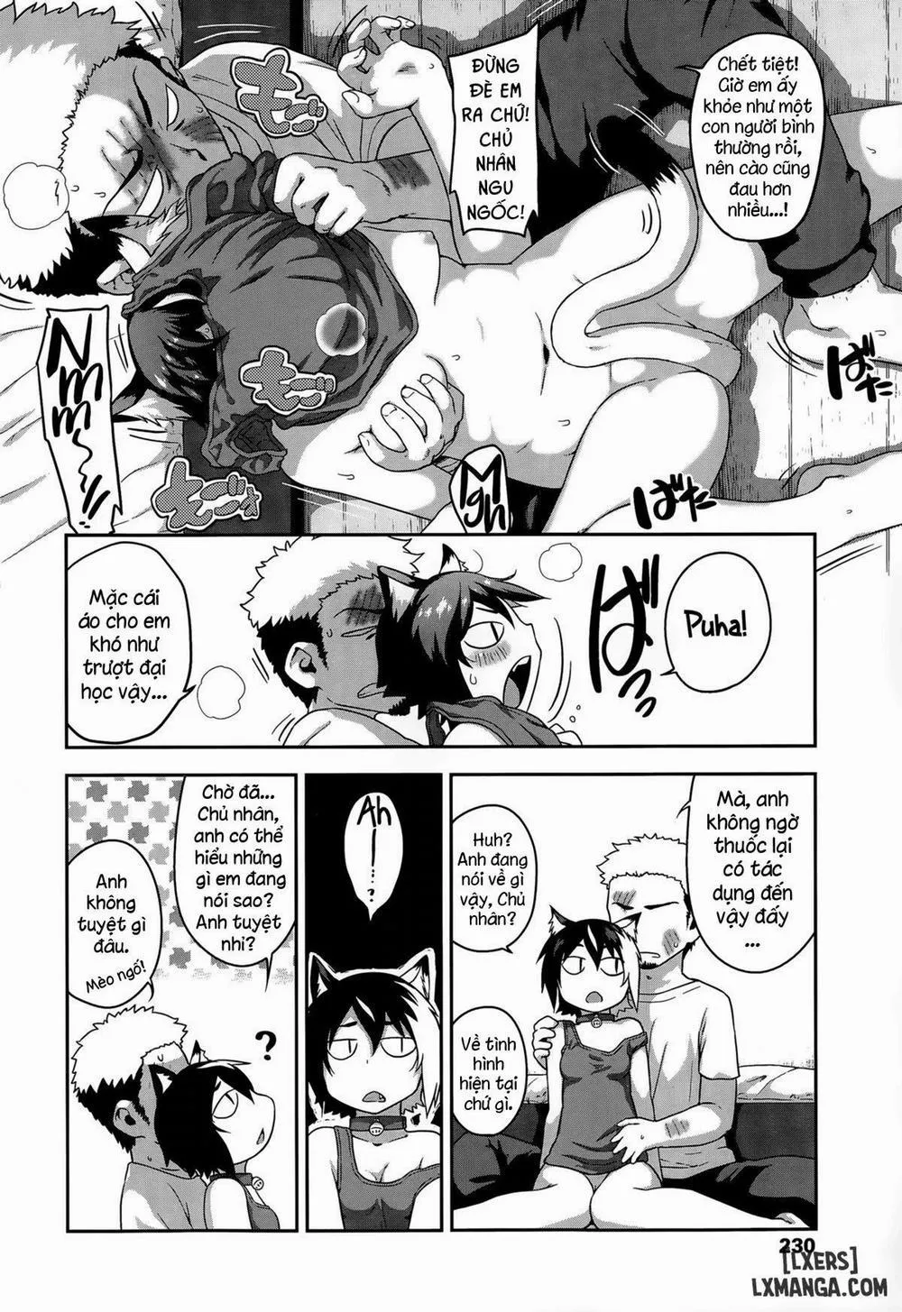 HentaiVN.net - Ảnh 4 - What's Tsun Pussycat - Chap 1