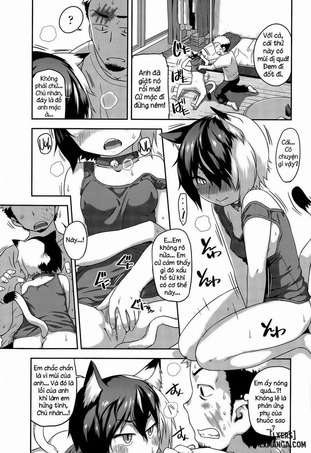 HentaiVN.net - Ảnh 5 - What's Tsun Pussycat - Chap 1