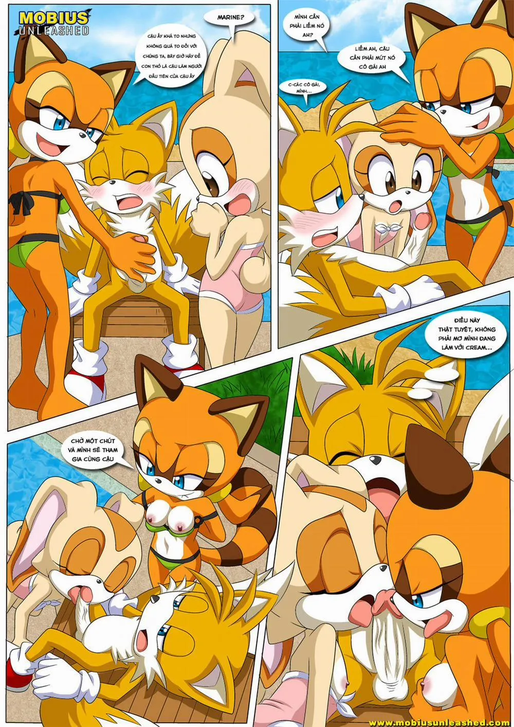 HentaiVN.net - Ảnh 4 - Poolside Fun (Sonic) - Chap 1