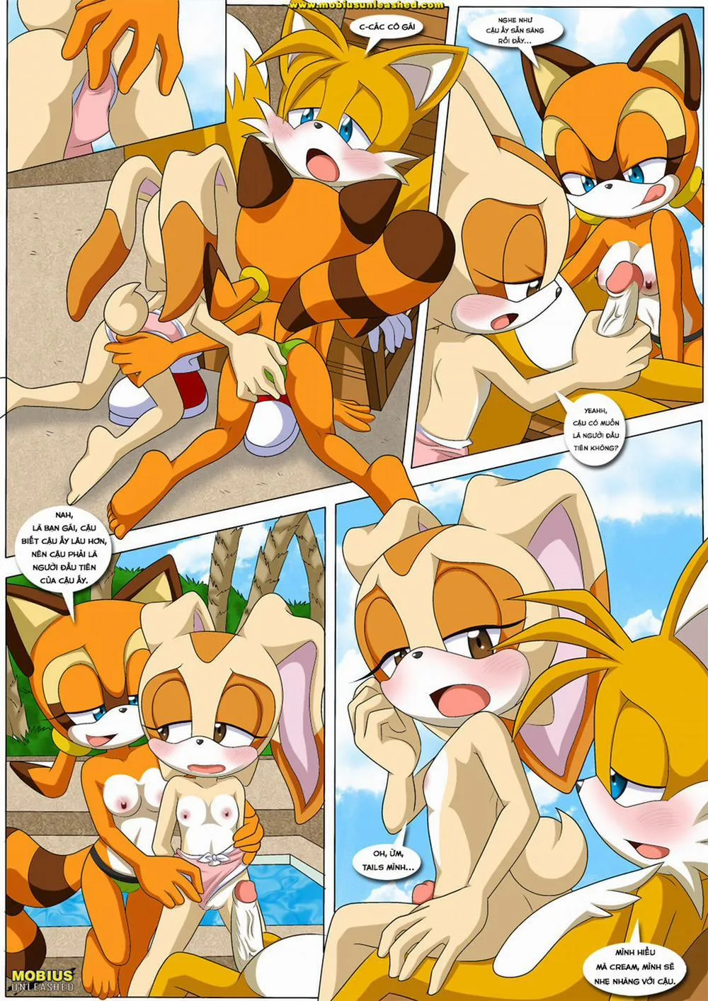 HentaiVN.net - Ảnh 5 - Poolside Fun (Sonic) - Chap 1