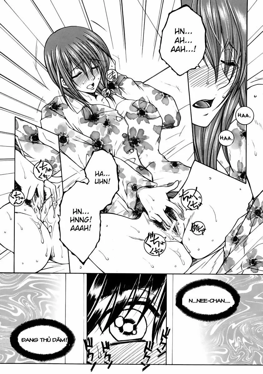 HentaiVN.net - Ảnh 5 - Mimi - Chap 1