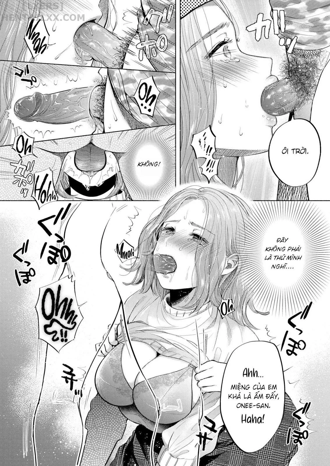 HentaiVN.net - Ảnh 14 - Quấn lấy và cuộn lại [Twisted & Tangled] - Chap 1