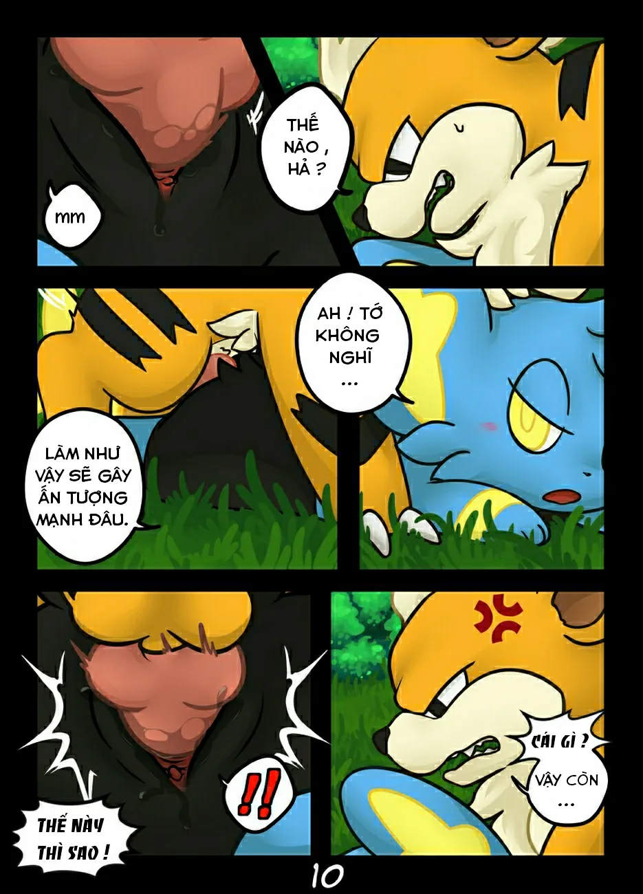 HentaiVN.net - Ảnh 10 - Hãy bắt tớ nếu cậu có thể (Pokemon) [Catch me if you can] - Chap 1