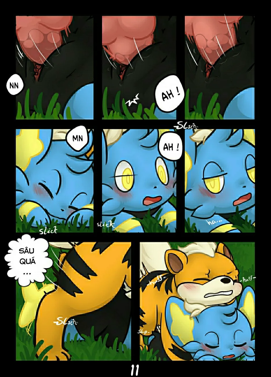 HentaiVN.net - Ảnh 11 - Hãy bắt tớ nếu cậu có thể (Pokemon) [Catch me if you can] - Chap 1