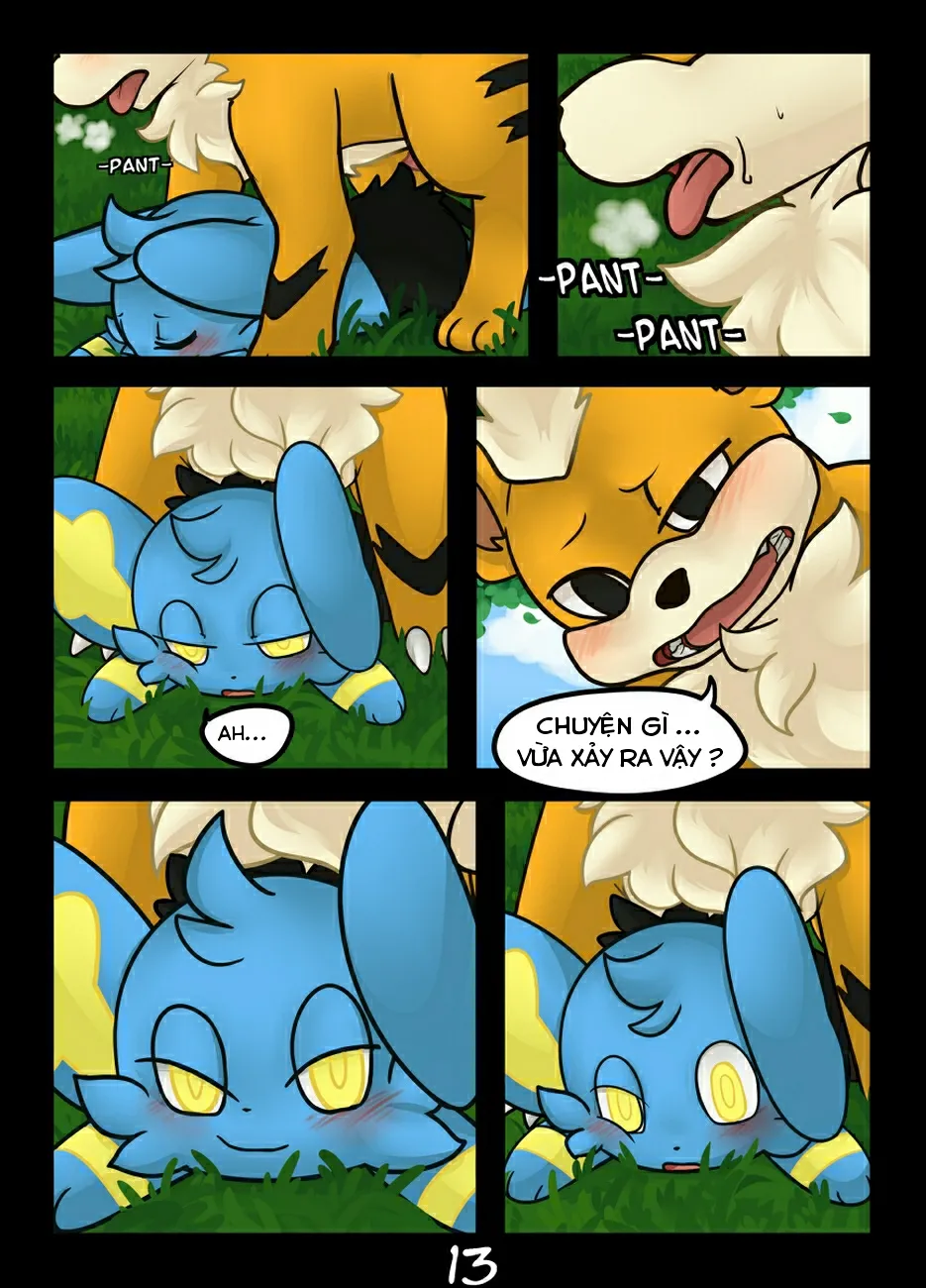 HentaiVN.net - Ảnh 13 - Hãy bắt tớ nếu cậu có thể (Pokemon) [Catch me if you can] - Chap 1