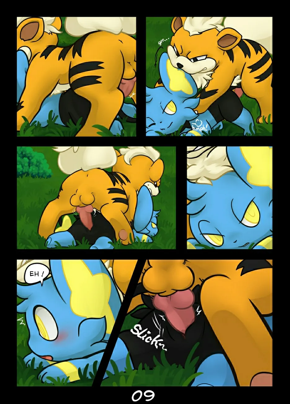 HentaiVN.net - Ảnh 9 - Hãy bắt tớ nếu cậu có thể (Pokemon) [Catch me if you can] - Chap 1