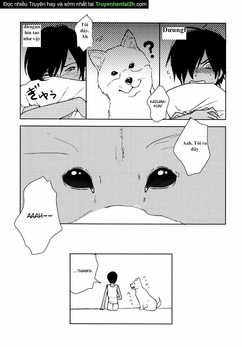 HentaiVN.net - Ảnh 10 - Kazuman (Summer Wars) - Chap 2