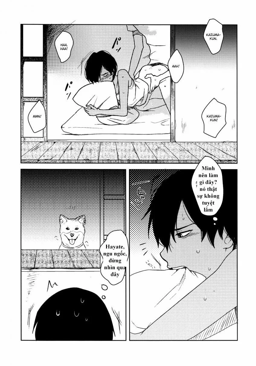 HentaiVN.net - Ảnh 9 - Kazuman (Summer Wars) - Chap 2