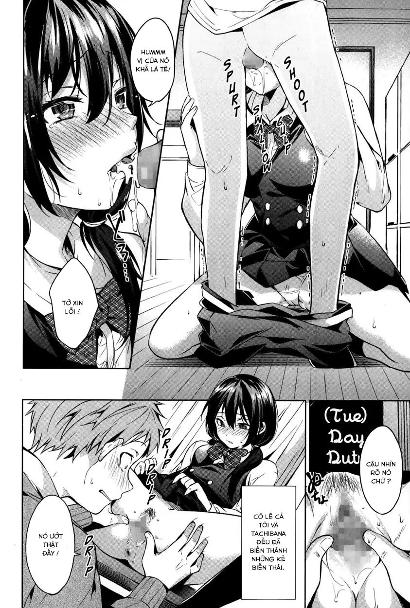 HentaiVN.net - Ảnh 8 - Afterschool Experience [Houkago Experience] - Chap 1