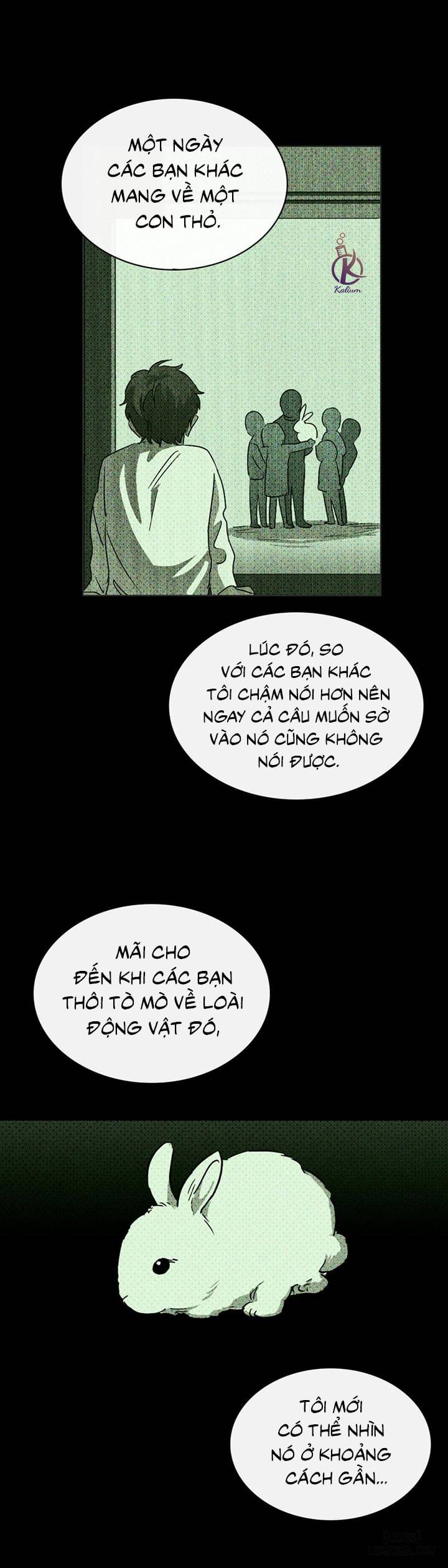HentaiVN.net - Ảnh 22 - Under the Greenlight - Tận cùng hi vọng - Chap 5