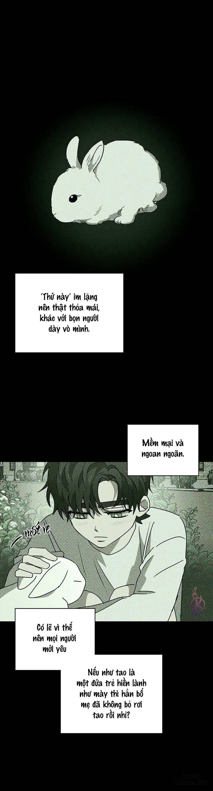 HentaiVN.net - Ảnh 17 - Under the Greenlight - Tận cùng hi vọng - Chap 29