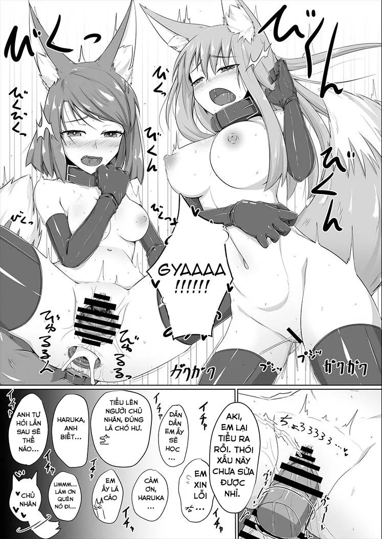 HentaiVN.net - Ảnh 18 - FOX MANIAX - Chap 1