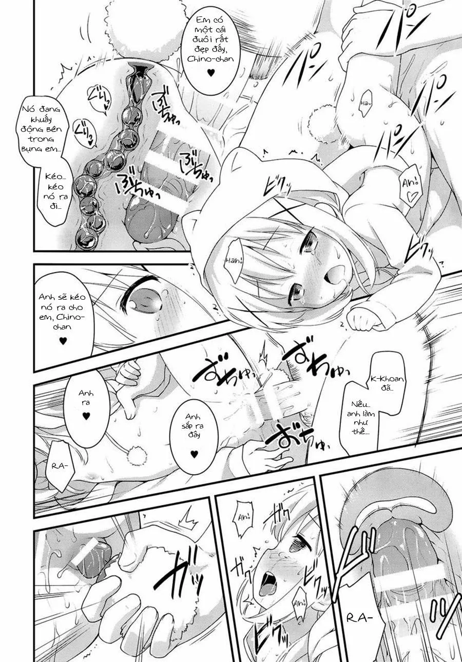 HentaiVN.net - Ảnh 27 - Chimahame (Gochuumon wa Usagi Desu ka) - Chap 1