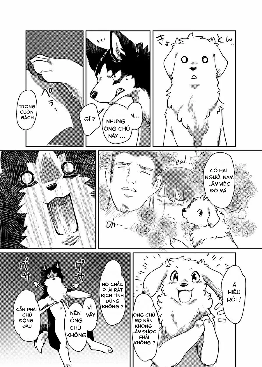 HentaiVN.net - Ảnh 10 - More More - Chap 1